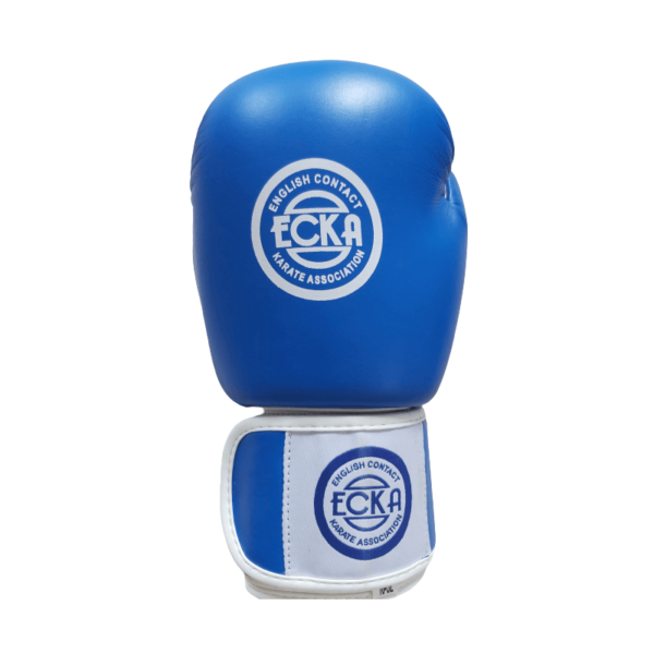 Boxing Gloves 10oz Full Contact